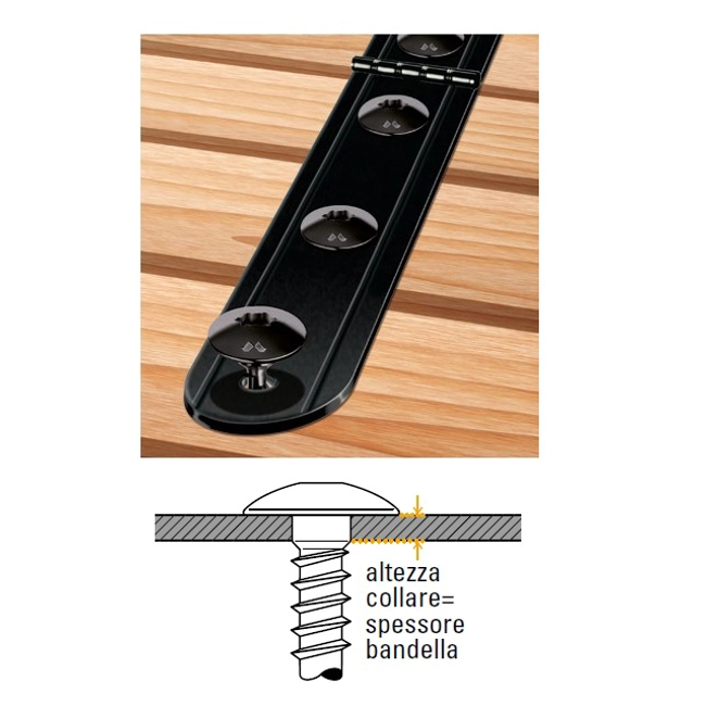 Vendita online Vite Panelvit® testa fungo con collare (FC) TX Neroplus® lubrificata